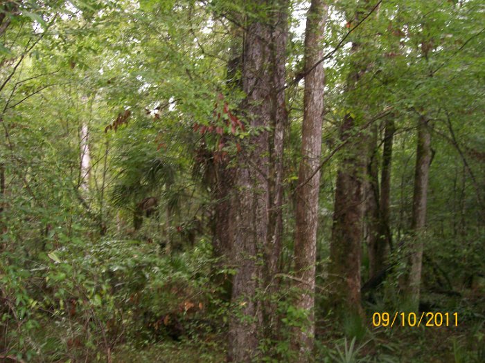 2011-Sep-10_HGR4X4_RichloamBB 019